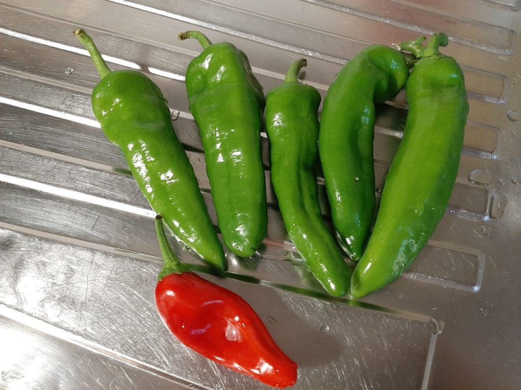 イタリア野菜 フリッジテーリ (スイートペッパー)