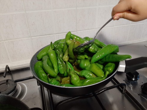 イタリア野菜 フリッジテーリ (スイートペッパー)